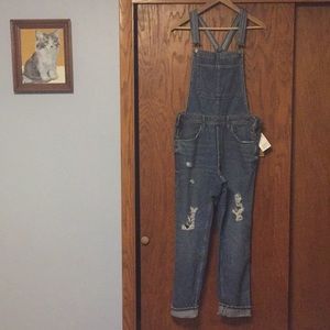 Boyfriend Distressed Denim Overalls